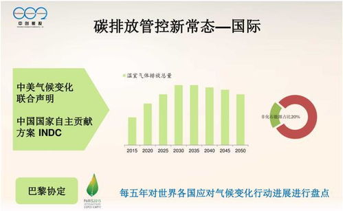 大型控排企業(yè)碳資產(chǎn)管理體系建設與優(yōu)化策略
